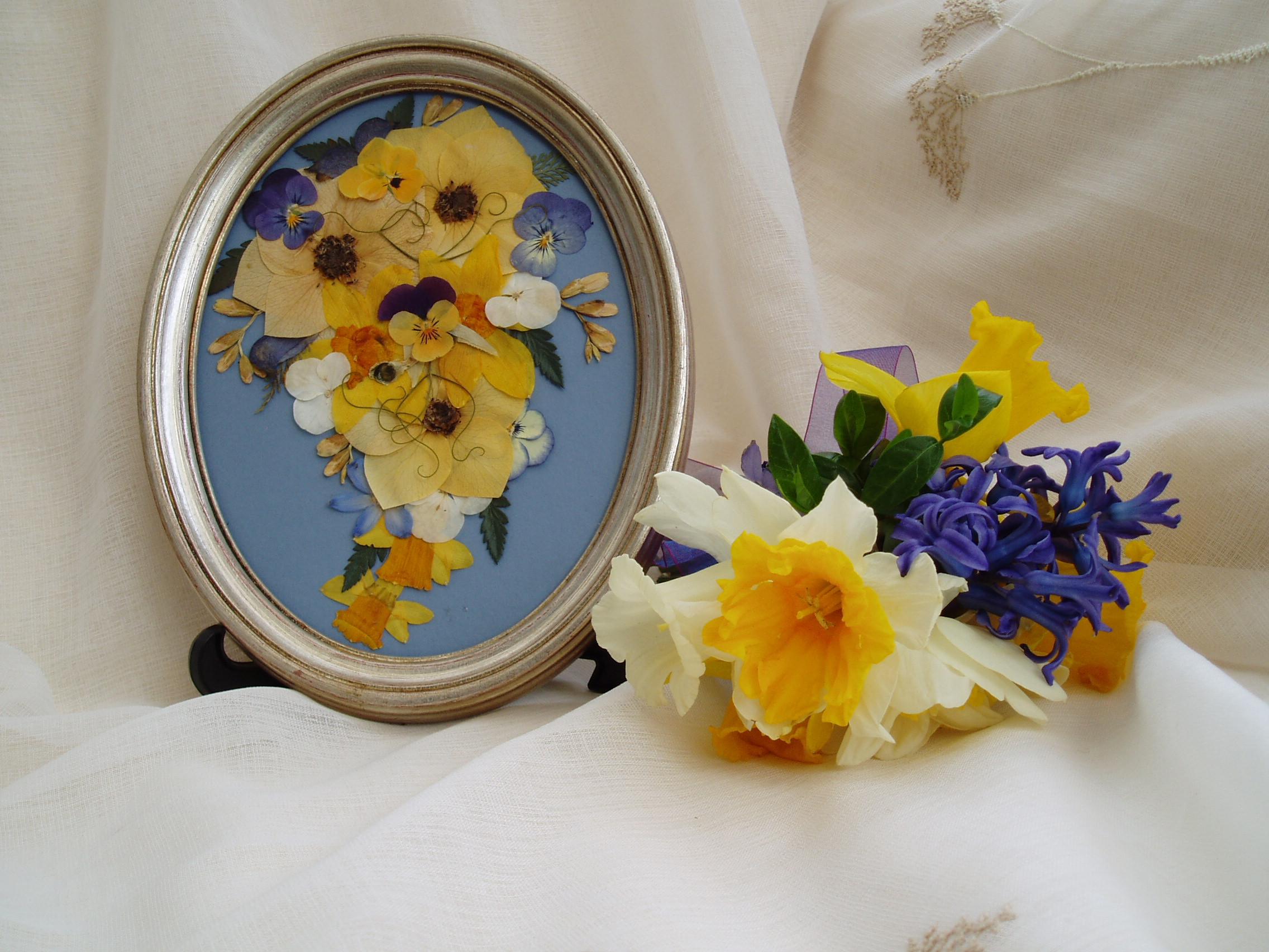 A small posy of daffodils, HI-RES