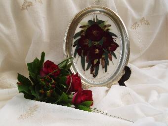 Red Spray. Click for more info